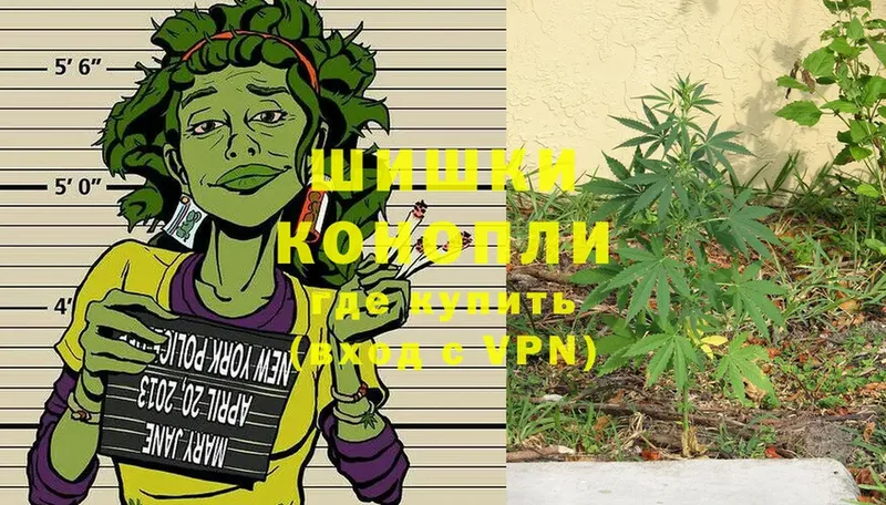 наркота  Йошкар-Ола  Бошки марихуана SATIVA & INDICA 